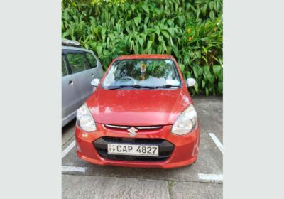 Suzuki Alto 800