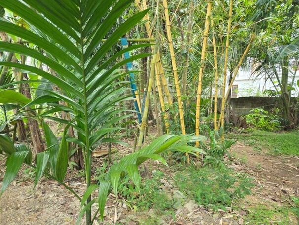 Water Front Land for Sale in Katugastara, Gampaha