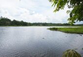 Water Front Land for Sale in Katugastara, Gampaha