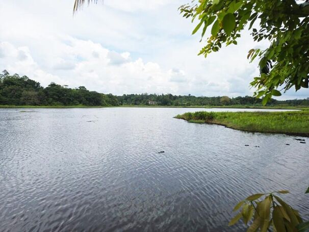 Water Front Land for Sale in Katugastara, Gampaha