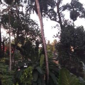 Land For Sale In Pannipitiya