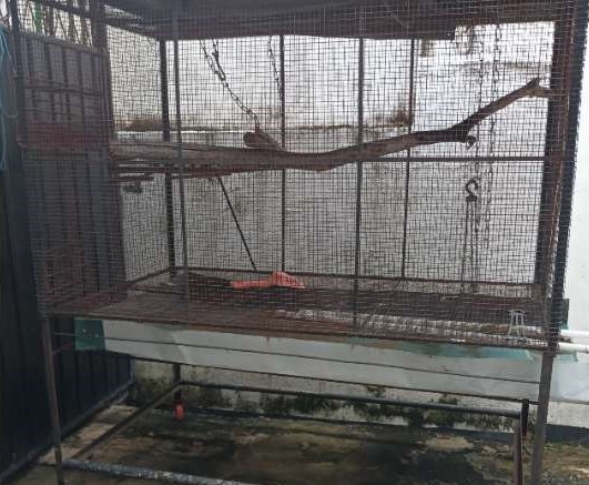 Cage For Quick Sale
