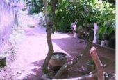 House For Sale In Webada