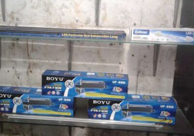 Aquarium For Sale