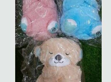 Breathing Teddy Bear