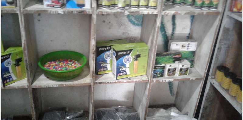 Aquarium For Sale
