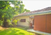 Rooms in A Villa, Negombo