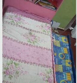 Drawer Bed With Bookshelves For Immediate Sale