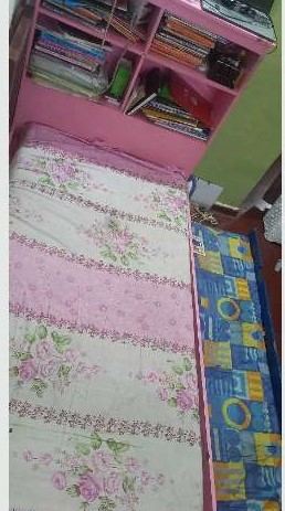 Drawer Bed With Bookshelves For Immediate Sale