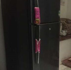 Lg Double Door Refrigerater