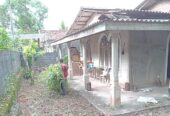 House for Sale in Kadawatha
