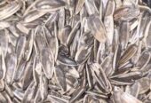 Sunflower Seeds
