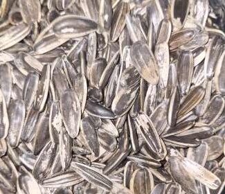 Sunflower Seeds