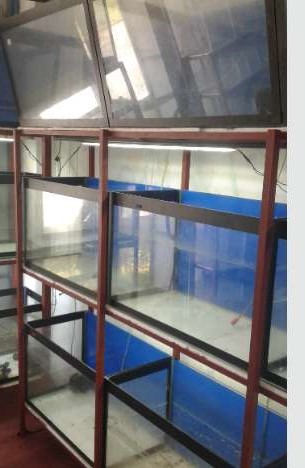 Aquarium For Sale