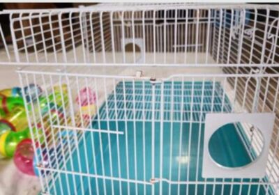 Small Pet Cage With Bottom Tray