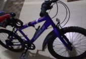 Bicycle for Sale