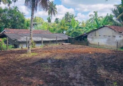 Land for Sale in Pannipitiya