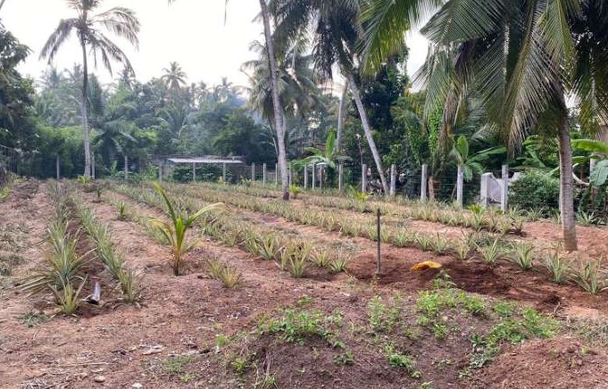 30 Perch Land Close To The Airport