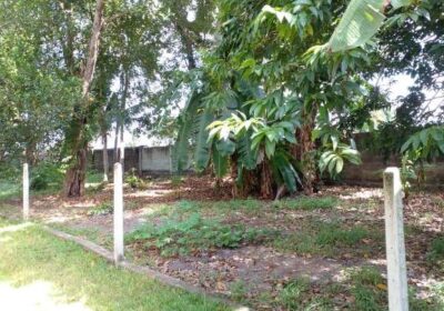 14.34 Perch Land For Sale In Katubedda