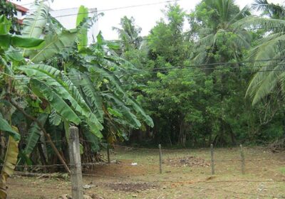 Land for Sale in Kottawa