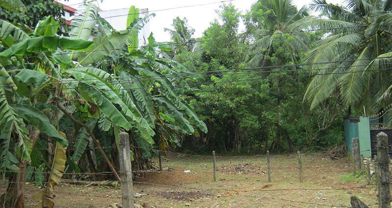 Land for Sale in Kottawa