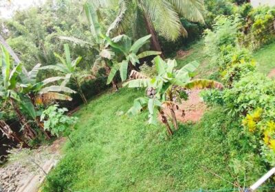 Land For Sale In Piliyandala