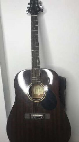Gereg Benett D-1n Guitar With Professional Case