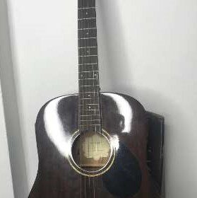 Gereg Benett D-1n Guitar With Professional Case