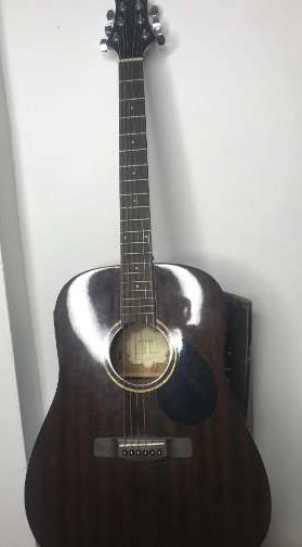 Gereg Benett D-1n Guitar With Professional Case