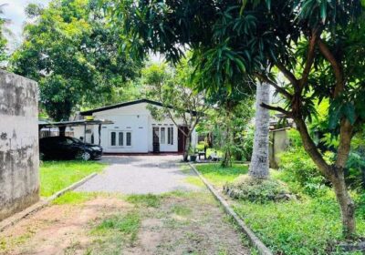 Land For Sale In Kohuwala