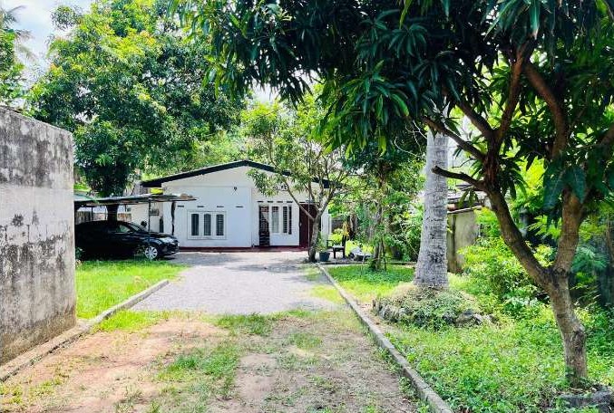 Land For Sale In Kohuwala