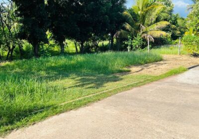 Bare Land for Sale in Negombo