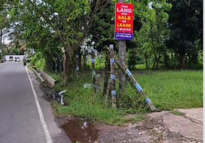 Land for sale in Negombo