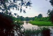 House for Sale in Ja ela(Infront of Attanagalla oya -Very Rare place with awesome view)-ideal for c