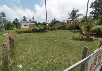 Prime, square plot – 13.5p – Katuwapitya Negombo