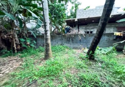Land With House For Sale In Wellampitiya