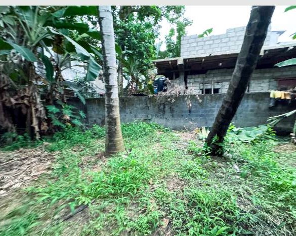 Land With House For Sale In Wellampitiya