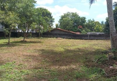 Land for Sale in Kotte