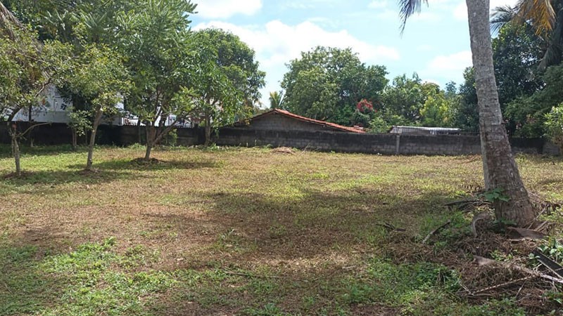 Land for Sale in Kotte