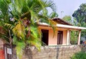 Land With House For Sale In Wellampitiya