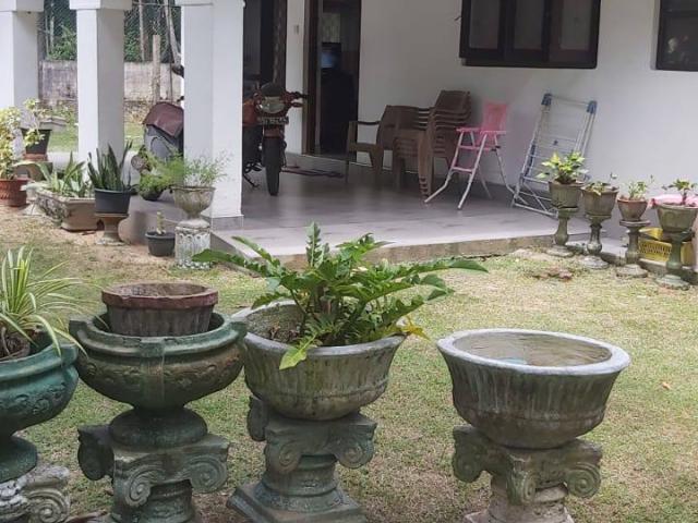 Land and House for Sale in Negombo Mountains – Prime Location!