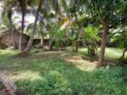 🏡 කුරණින් වටිනා ඉඩමක් විකිණීමට 🏡