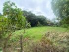 15-PERCH LAND FOR SALE IN YAKKADUWA, JA-ELA