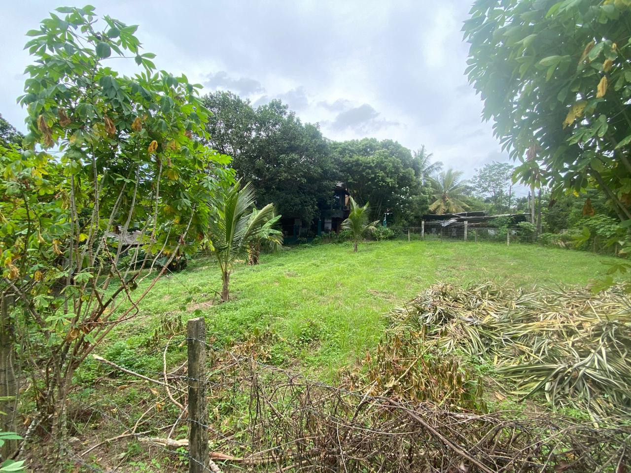 15-PERCH LAND FOR SALE IN YAKKADUWA, JA-ELA