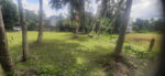 LAND FOR SALE IN BUTHPITIYA, GAMPAHA