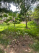 LAND FOR SALE IN RAGAMA