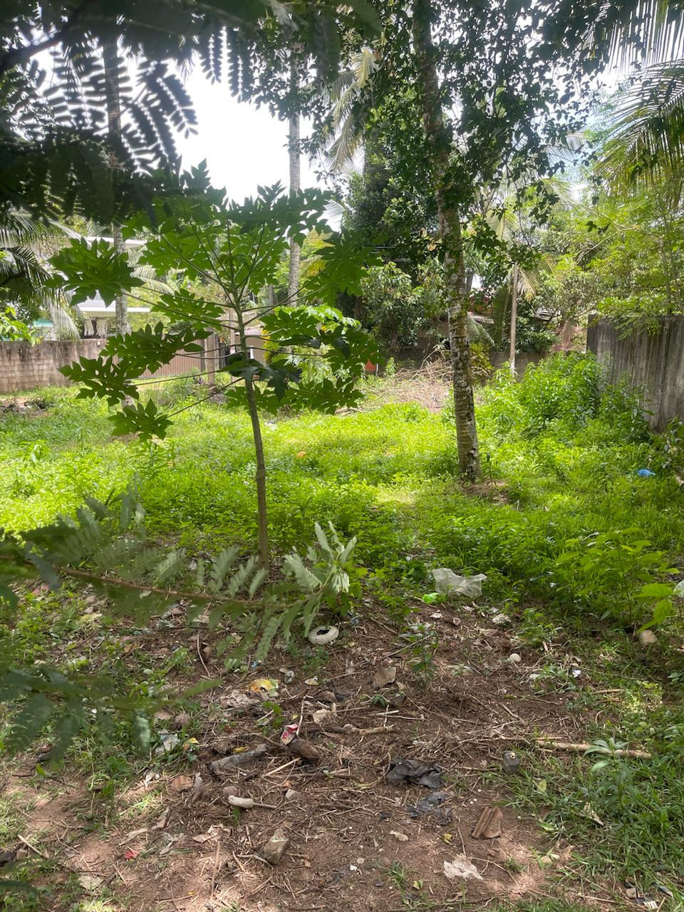 LAND FOR SALE IN RAGAMA