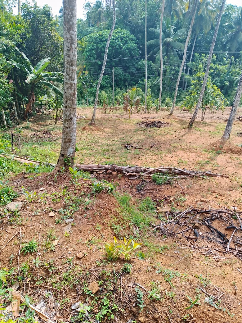 LAND FOR SALE IN HAGGALLA, NITTAMBUWA