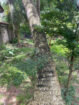 LAND FOR SALE IN RAGAMA