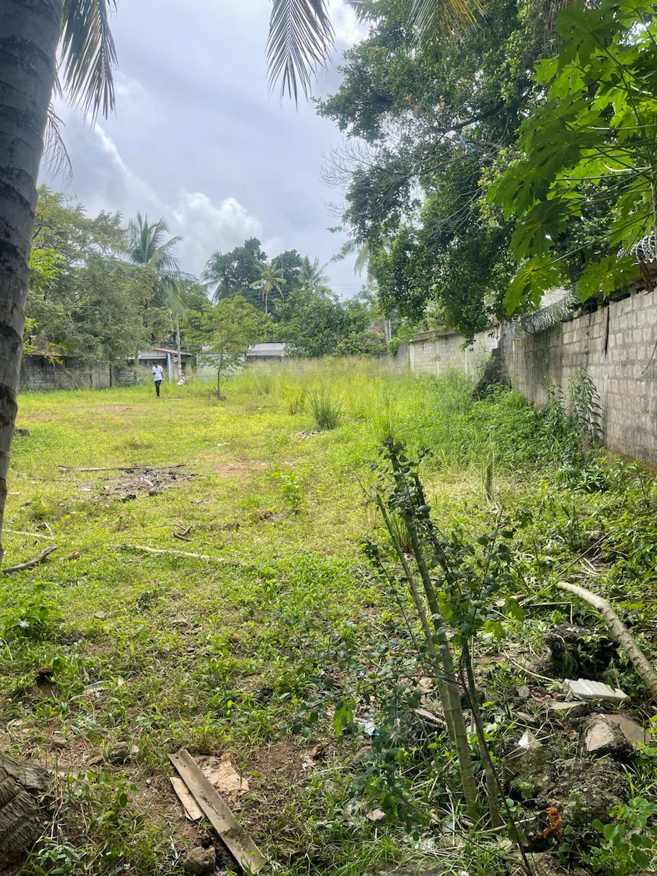 LAND FOR SALE IN RAGAMA
